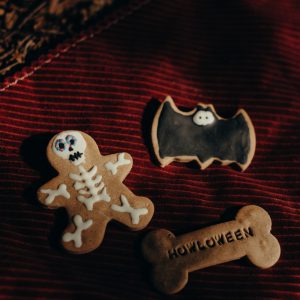 Halloween Iced Cookies
